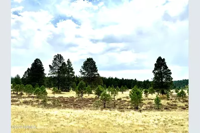 001 Hart Prairie Rd, Flagstaff, AZ 86001 - Photo 23