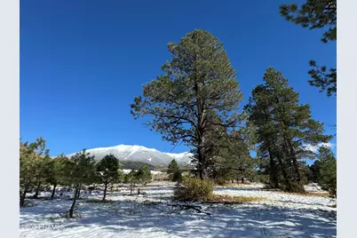 001 Hart Prairie Rd, Flagstaff, AZ 86001 - Photo 19