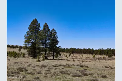 001 Hart Prairie Rd, Flagstaff, AZ 86001 - Photo 3