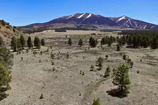 001 Hart Prairie Rd, Flagstaff, AZ 86001 - Photo 1