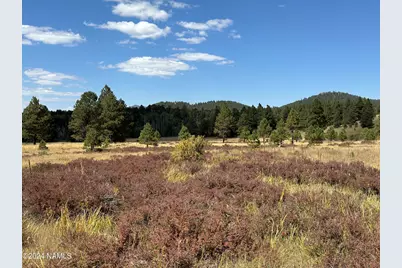 002 Hart Prairie Rd, Flagstaff, AZ 86001 - Photo 17