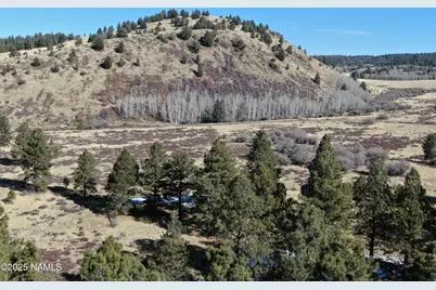 003 Hart Prairie Rd, Flagstaff, AZ 86001 - Photo 29