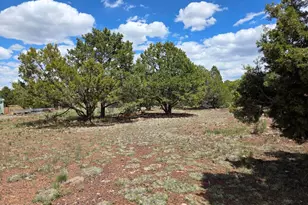 7563 N Ponderosa Ave, Williams, AZ 86046 - Photo 21