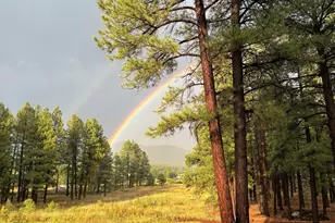 2168 N Fremont Blvd, Flagstaff, AZ 86001 - Photo 49