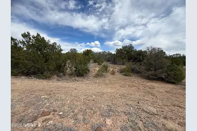12581 N Chino Road, Williams, AZ 86046 - Photo 3