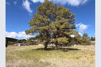 142 Anthem Drive, Williams, AZ 86046 - Photo 3