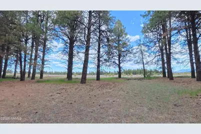 12565 Camp Kimball Road, Parks, AZ 86018 - Photo 13