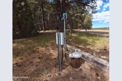 12565 Camp Kimball Road, Parks, AZ 86018 - Photo 5
