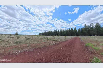12565 Camp Kimball Road, Parks, AZ 86018 - Photo 3