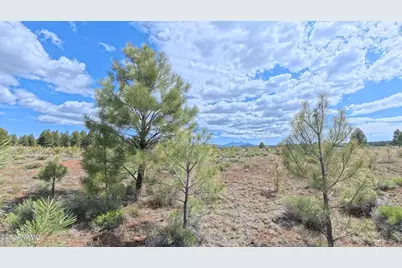 12565 Camp Kimball Road, Parks, AZ 86018 - Photo 15