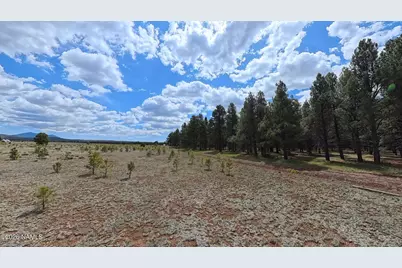 12565 Camp Kimball Road, Parks, AZ 86018 - Photo 49