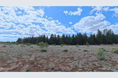 12565 Camp Kimball Road, Parks, AZ 86018 - Photo 17