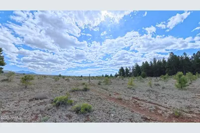 12565 Camp Kimball Road, Parks, AZ 86018 - Photo 25