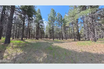 12565 Camp Kimball Road, Parks, AZ 86018 - Photo 11