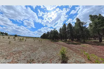 12565 Camp Kimball Road, Parks, AZ 86018 - Photo 51