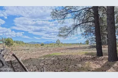 12565 Camp Kimball Road, Parks, AZ 86018 - Photo 19