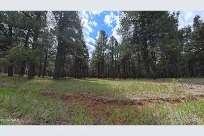12565 Camp Kimball Road, Parks, AZ 86018 - Photo 57