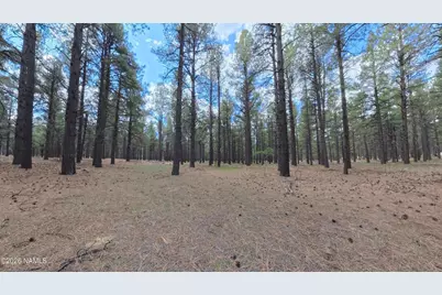 12565 Camp Kimball Road, Parks, AZ 86018 - Photo 33