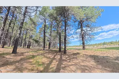12565 Camp Kimball Road, Parks, AZ 86018 - Photo 3