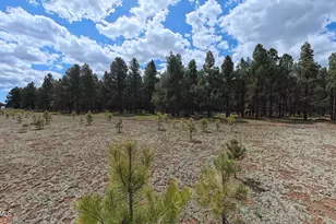 12565 Camp Kimball Rd, Parks, AZ 86018 - Photo 1