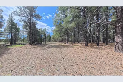 12565 Camp Kimball Road, Parks, AZ 86018 - Photo 29