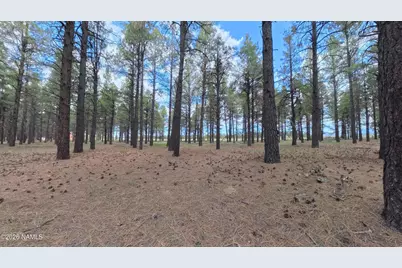 12565 Camp Kimball Road, Parks, AZ 86018 - Photo 31