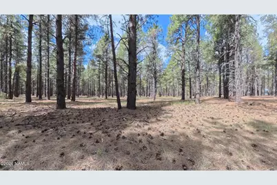 12565 Camp Kimball Road, Parks, AZ 86018 - Photo 39