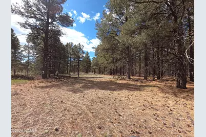 12565 Camp Kimball Road, Parks, AZ 86018 - Photo 21