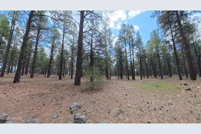 12565 Camp Kimball Road, Parks, AZ 86018 - Photo 35