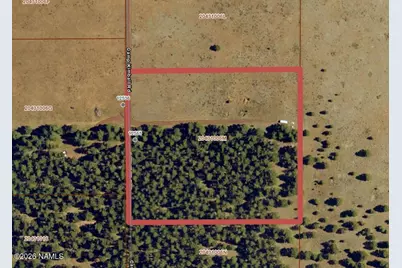 12565 Camp Kimball Road, Parks, AZ 86018 - Photo 11