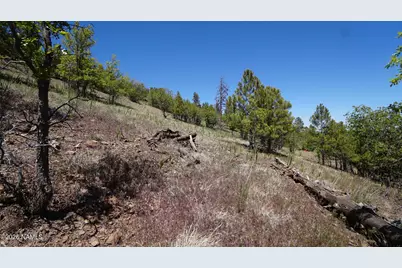 1130 W Coconino Avenue, Flagstaff, AZ 86001 - Photo 11