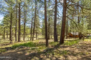 4511 Canyon Loop, Flagstaff, AZ 86005 - Photo 27