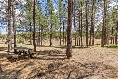 5101 E Lake Country Road, Flagstaff, AZ 86004 - Photo 95