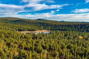 135 N Lodge Dr, Munds Park, AZ 86017 - Photo 41