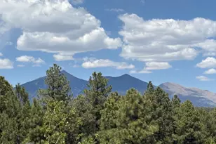 2950 W Presidio Dr, Flagstaff, AZ 86001 - Photo 25