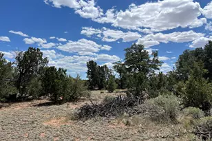 8348 Red Butte Rd, Williams, AZ 86046 - Photo 7