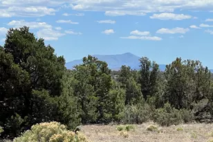 8348 Red Butte Rd, Williams, AZ 86046 - Photo 39