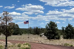 8348 Red Butte Rd, Williams, AZ 86046 - Photo 5