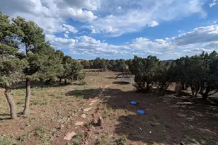 2186 E Clear Point Way, Williams, AZ 86046 - Photo 43