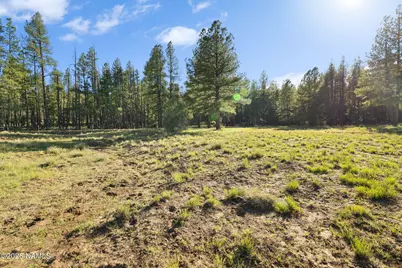 454 W Clay Park Way #24, Munds Park, AZ 86017 - Photo 19
