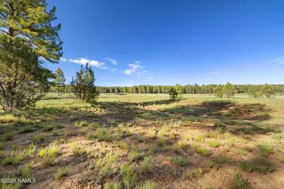 454 W Clay Park Way #24, Munds Park, AZ 86017 - Photo 17