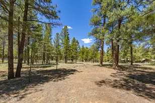 3335 N Jackrabbitt Ln, Flagstaff, AZ 86001 - Photo 39