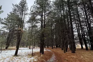 3200 S Litzler Dr, Flagstaff, AZ 86005 - Photo 29