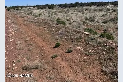 3864 Mohave Trail, Williams, AZ 86046 - Photo 13