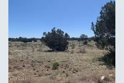3864 Mohave Trail, Williams, AZ 86046 - Photo 9