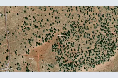 3864 Mohave Trail, Williams, AZ 86046 - Photo 3
