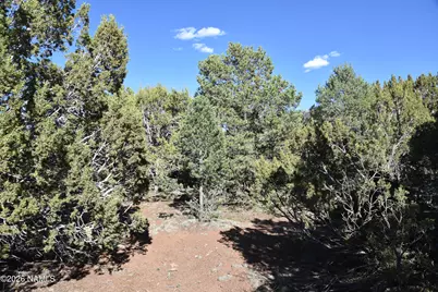 2394 E Clear Point Way #58, Williams, AZ 86046 - Photo 13