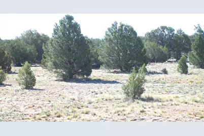 4063 E Woodland Ranch Road, Williams, AZ 86046 - Photo 5