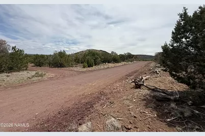732 E Sidewinder Road, Williams, AZ 86046 - Photo 5