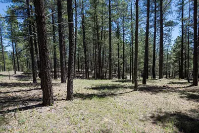 2238 Co Bar Trail, Flagstaff, AZ 86005 - Photo 9